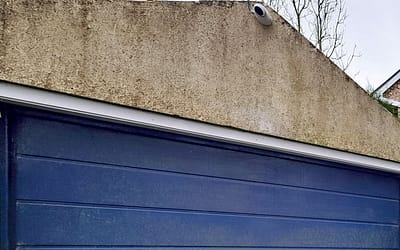 Wildlife in Bristol help to entertain Home Owners on CCTV
